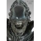 SIDESHOW Alien Warrior 1:1 Life-Size Bust